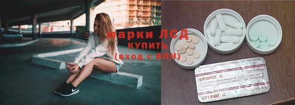 spice Покачи