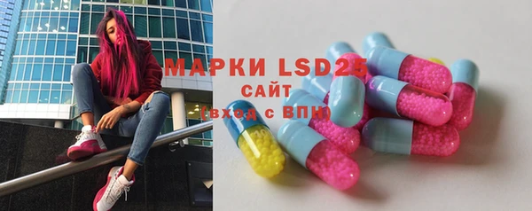 ECSTASY Алзамай