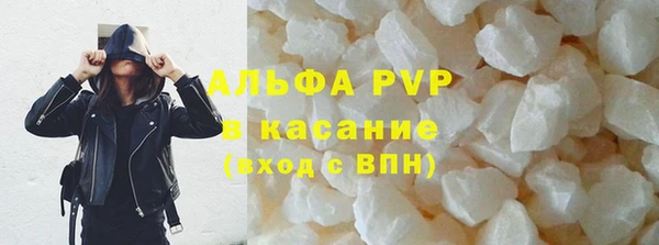 ECSTASY Алзамай