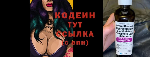 ECSTASY Алзамай