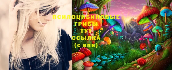 дмт Алексеевка