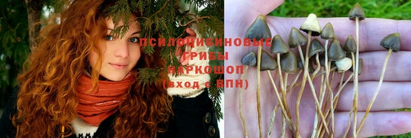 дмт Алексеевка