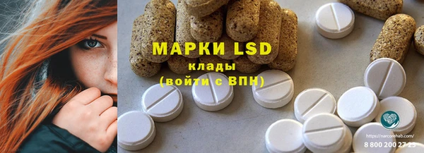 ECSTASY Алзамай