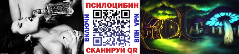 Галлюциногенные грибы Psilocybe Талица